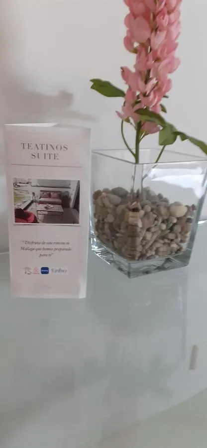 Teatinos Suite Malaga Apartment